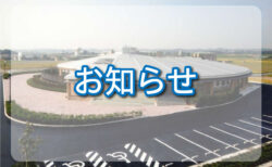 【重要】 成人レッスンについて